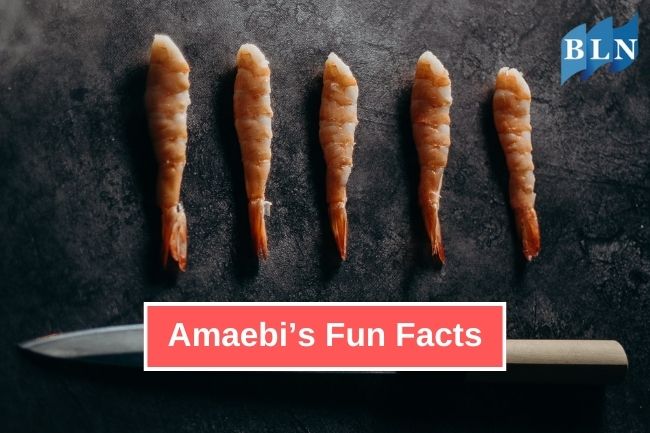 Fascinating Fun Facts About Amaebi